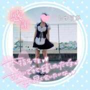 ヒメ日記 2026/02/08 00:20 投稿 しゅうか 逆電車ごっこ ～GLAMOROUS TRAIN～