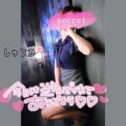 ヒメ日記 2026/02/08 00:50 投稿 しゅうか 逆電車ごっこ ～GLAMOROUS TRAIN～