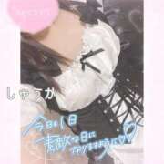 ヒメ日記 2026/02/14 18:27 投稿 しゅうか 逆電車ごっこ ～GLAMOROUS TRAIN～