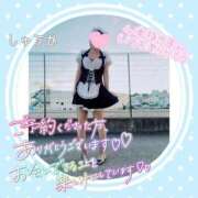 ヒメ日記 2026/02/23 20:30 投稿 しゅうか 逆電車ごっこ ～GLAMOROUS TRAIN～