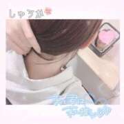 ヒメ日記 2026/02/28 20:00 投稿 しゅうか 逆電車ごっこ ～GLAMOROUS TRAIN～