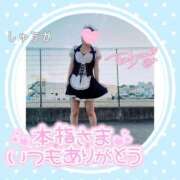 ヒメ日記 2026/03/15 00:40 投稿 しゅうか 逆電車ごっこ ～GLAMOROUS TRAIN～