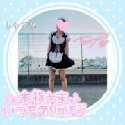 ヒメ日記 2026/03/16 17:45 投稿 しゅうか 逆電車ごっこ ～GLAMOROUS TRAIN～