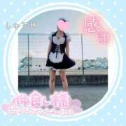 ヒメ日記 2026/03/22 23:10 投稿 しゅうか 逆電車ごっこ ～GLAMOROUS TRAIN～