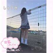 ヒメ日記 2026/04/03 19:19 投稿 しゅうか 逆電車ごっこ ～GLAMOROUS TRAIN～