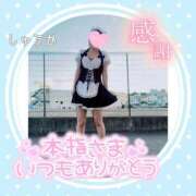 ヒメ日記 2026/04/04 01:20 投稿 しゅうか 逆電車ごっこ ～GLAMOROUS TRAIN～