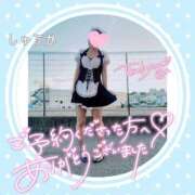 ヒメ日記 2026/04/04 21:52 投稿 しゅうか 逆電車ごっこ ～GLAMOROUS TRAIN～