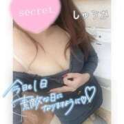 ヒメ日記 2026/04/11 20:30 投稿 しゅうか 逆電車ごっこ ～GLAMOROUS TRAIN～