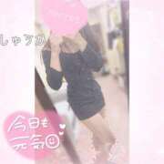 ヒメ日記 2026/04/24 21:40 投稿 しゅうか 逆電車ごっこ ～GLAMOROUS TRAIN～