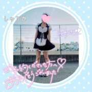 ヒメ日記 2026/04/26 00:23 投稿 しゅうか 逆電車ごっこ ～GLAMOROUS TRAIN～