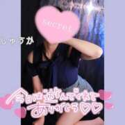 ヒメ日記 2026/04/26 00:40 投稿 しゅうか 逆電車ごっこ ～GLAMOROUS TRAIN～