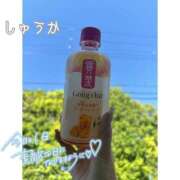 ヒメ日記 2026/05/17 18:50 投稿 しゅうか 逆電車ごっこ ～GLAMOROUS TRAIN～