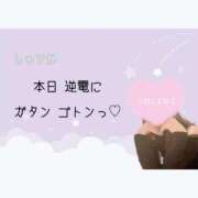 ヒメ日記 2026/06/13 10:40 投稿 しゅうか 逆電車ごっこ ～GLAMOROUS TRAIN～