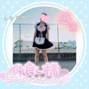 ヒメ日記 2026/06/13 21:28 投稿 しゅうか 逆電車ごっこ ～GLAMOROUS TRAIN～