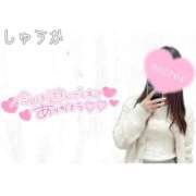 ヒメ日記 2026/06/14 00:30 投稿 しゅうか 逆電車ごっこ ～GLAMOROUS TRAIN～