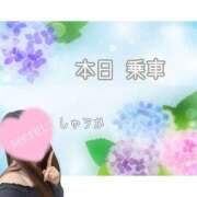 ヒメ日記 2026/06/27 14:20 投稿 しゅうか 逆電車ごっこ ～GLAMOROUS TRAIN～