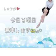 ヒメ日記 2026/08/03 11:30 投稿 しゅうか 逆電車ごっこ ～GLAMOROUS TRAIN～