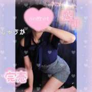 ヒメ日記 2026/08/04 01:10 投稿 しゅうか 逆電車ごっこ ～GLAMOROUS TRAIN～