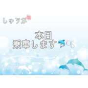 ヒメ日記 2026/08/25 13:10 投稿 しゅうか 逆電車ごっこ ～GLAMOROUS TRAIN～