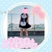 ヒメ日記 2026/08/30 23:08 投稿 しゅうか 逆電車ごっこ ～GLAMOROUS TRAIN～