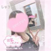 ヒメ日記 2026/09/04 20:00 投稿 しゅうか 逆電車ごっこ ～GLAMOROUS TRAIN～
