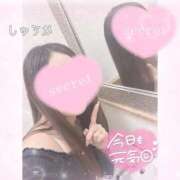 ヒメ日記 2026/09/13 22:24 投稿 しゅうか 逆電車ごっこ ～GLAMOROUS TRAIN～