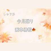 ヒメ日記 2026/09/13 22:27 投稿 しゅうか 逆電車ごっこ ～GLAMOROUS TRAIN～