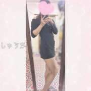 ヒメ日記 2026/10/10 20:24 投稿 しゅうか 逆電車ごっこ ～GLAMOROUS TRAIN～