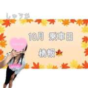 ヒメ日記 2026/10/10 21:10 投稿 しゅうか 逆電車ごっこ ～GLAMOROUS TRAIN～