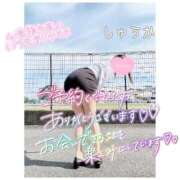 ヒメ日記 2026/10/11 19:10 投稿 しゅうか 逆電車ごっこ ～GLAMOROUS TRAIN～