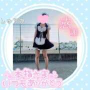 ヒメ日記 2026/10/11 23:20 投稿 しゅうか 逆電車ごっこ ～GLAMOROUS TRAIN～