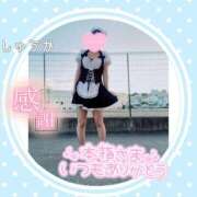 ヒメ日記 2026/10/12 00:56 投稿 しゅうか 逆電車ごっこ ～GLAMOROUS TRAIN～