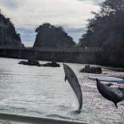 ヒメ日記 2026/03/31 07:42 投稿 夏亜(なつあ) 相模原人妻城