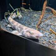 ヒメ日記 2026/03/31 09:51 投稿 夏亜(なつあ) 相模原人妻城