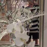 ヒメ日記 2026/04/01 18:18 投稿 夏亜(なつあ) 相模原人妻城