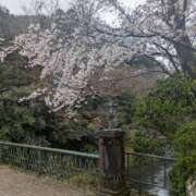 ヒメ日記 2026/04/10 15:27 投稿 夏亜(なつあ) 相模原人妻城