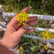 ヒメ日記 2026/04/12 10:57 投稿 夏亜(なつあ) 相模原人妻城
