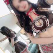 ヒメ日記 2025/02/20 15:04 投稿 君嶋みのり グランエステ東京 品川（シンデレラグループ）