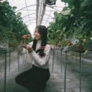 ヒメ日記 2025/03/30 15:47 投稿 君嶋みのり グランエステ東京 品川（シンデレラグループ）