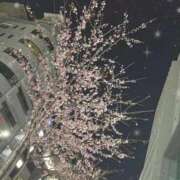 ヒメ日記 2026/03/07 10:25 投稿 もも すごいエステ 名古屋店