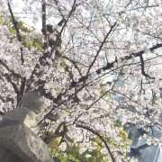 ヒメ日記 2026/04/02 19:26 投稿 もも すごいエステ 名古屋店