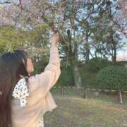 もも 土日会えるかな？♡ すごいエステ 名古屋店