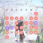 ヒメ日記 2026/05/03 10:20 投稿 もも すごいエステ 名古屋店