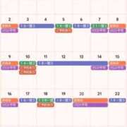 ヒメ日記 2025/11/22 14:55 投稿 サキ すごいエステ 名古屋店