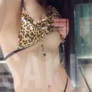 ヒメ日記 2025/11/28 04:15 投稿 サキ すごいエステ 名古屋店