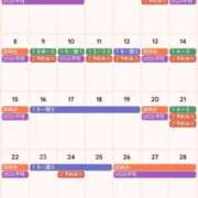 ヒメ日記 2026/03/24 16:05 投稿 サキ すごいエステ 名古屋店