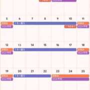 ヒメ日記 2026/04/13 12:05 投稿 サキ すごいエステ 名古屋店