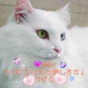 ヒメ日記 2024/12/10 12:01 投稿 すばる 熟女の風俗最終章 相模原店