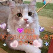 ヒメ日記 2025/01/14 11:51 投稿 すばる 熟女の風俗最終章 相模原店