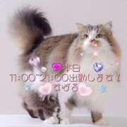 ヒメ日記 2025/01/15 08:01 投稿 すばる 熟女の風俗最終章 相模原店